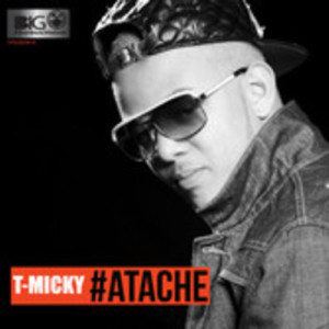T-Micky – Sere Mwen (  NEW TRACK 2014 )