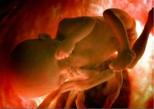 Vente d’organes de bébés avortés: La video qui trouble le Planning familial Américain