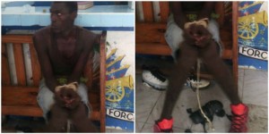 Haiti: Un autre suspect a été arrêté par la police